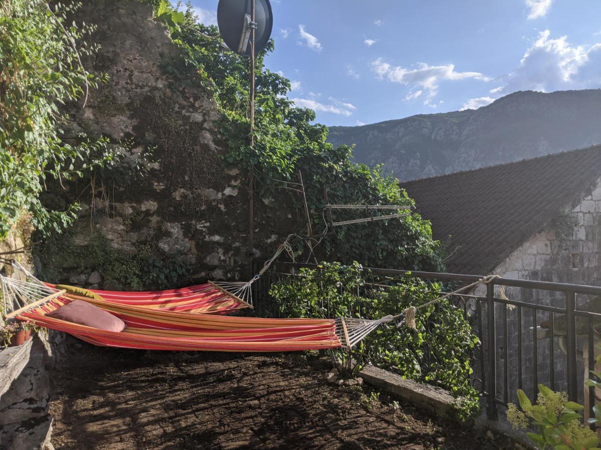 Best View! Rooftop With Garden - Old Town Nr404 Kotor Exterior photo